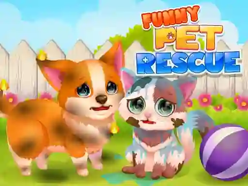 Lojë Funny Rescue Pet në internet