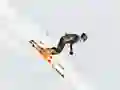 Lojë Ski Sim në internet