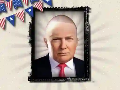 Lojë The President of the USA në internet