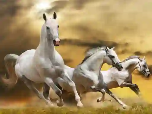 Lojë Running Horse Slide në internet