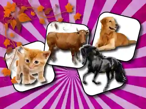 Lojë Domestic Animal Memory Challenge në internet