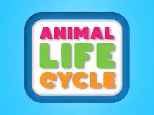 Lojë Animal Life Cycle në internet