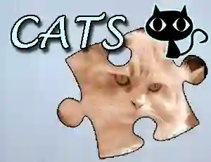 Lojë Jigsaw Puzzle: Cats në internet