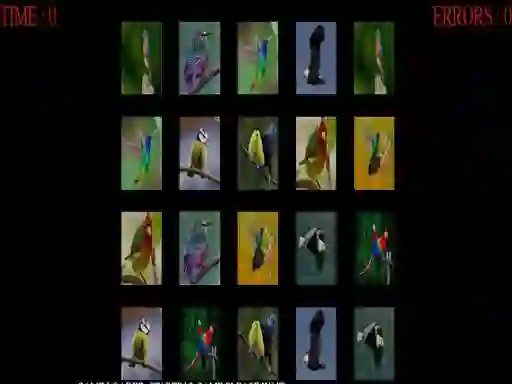Lojë Memorize the birds në internet