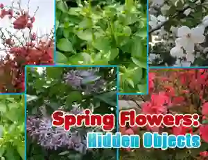 Lojë Spring Flowers: Hidden Objects në internet