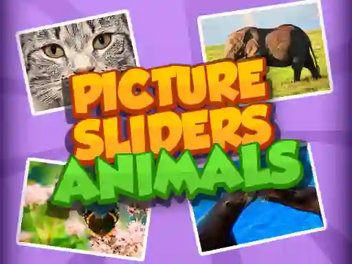 Lojë Picture Slider Animals në internet