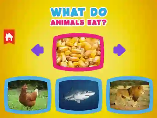 Lojë What Do Animals Eat? në internet