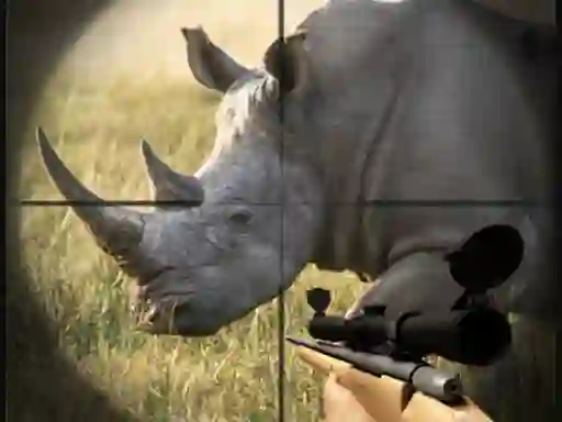 Lojë Wild Rhino Hunter në internet