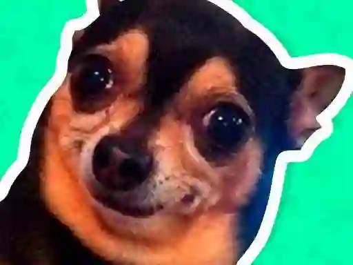 Lojë What meme dog are you ? në internet