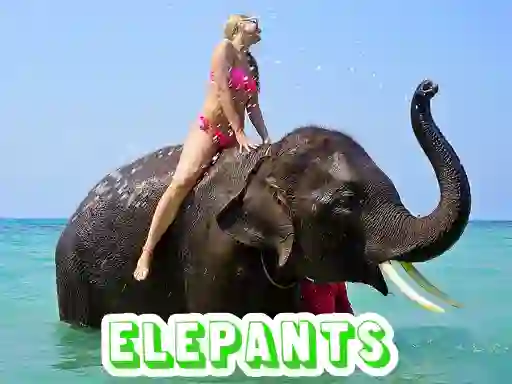 Lojë Elephants Puzzle në internet