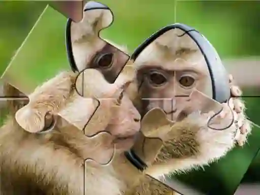 Lojë Chimpanzee Jigsaw në internet