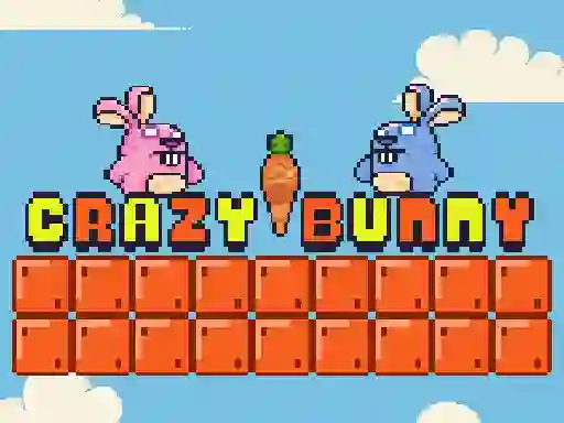 Lojë Crazy Bunny në internet
