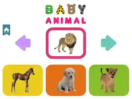 Lojë Baby Animal në internet