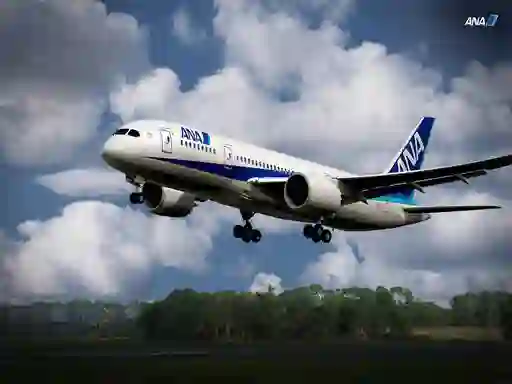 Lojë Boeing Dreamliner Puzzle në internet