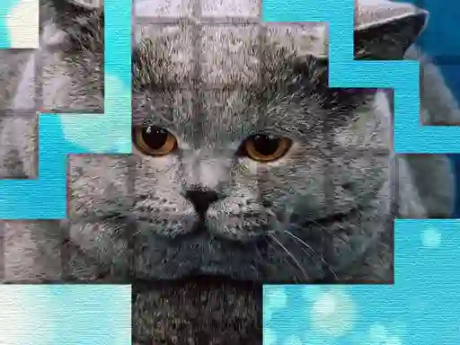 Lojë PicPu Cat në internet