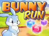 Lojë Bunny Run në internet