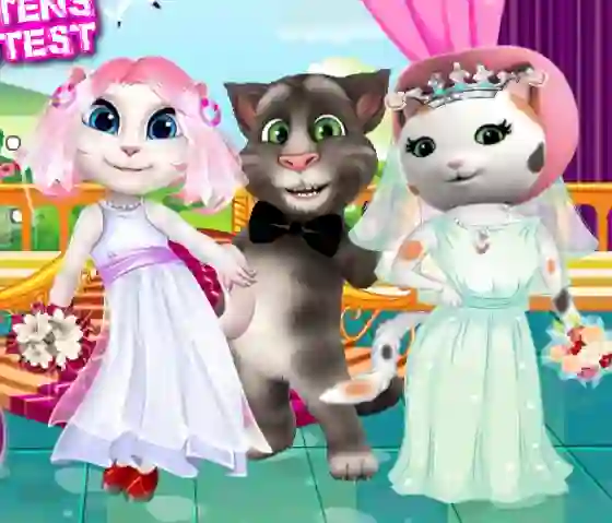 Lojë White Kittens Bride Contest në internet