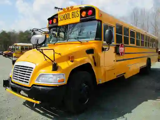 Lojë School Buses Puzzle në internet