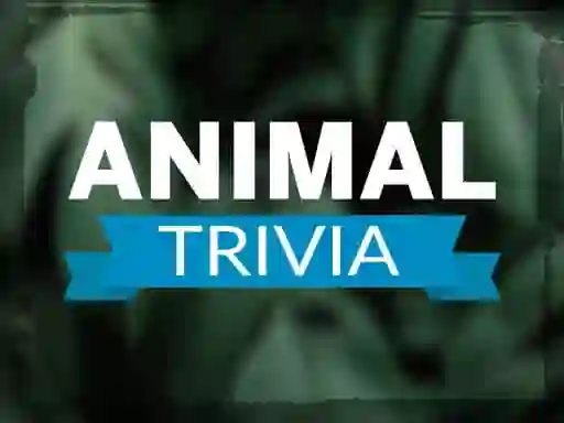 Lojë Animal Trivia në internet