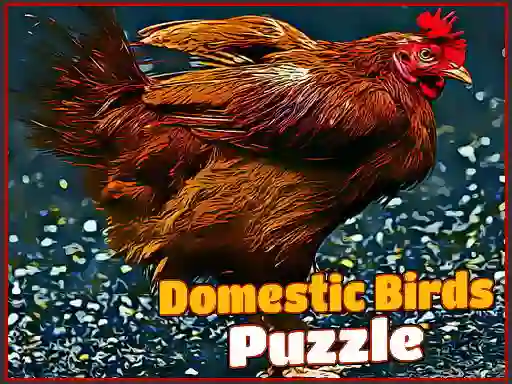 Lojë Domestic Birds Puzzle në internet