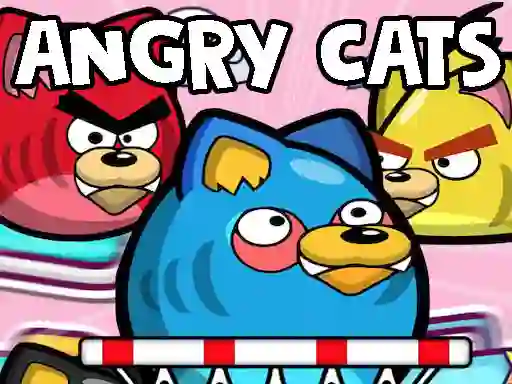 Lojë Angry Cats në internet