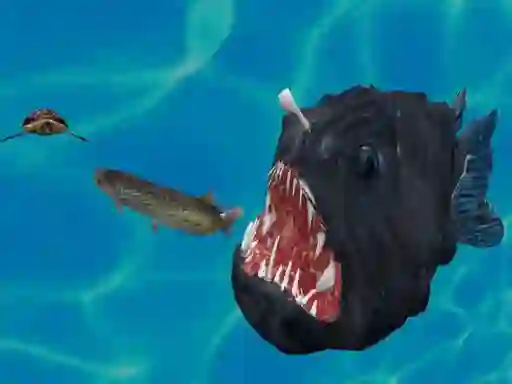 Lojë Fish 3d në internet