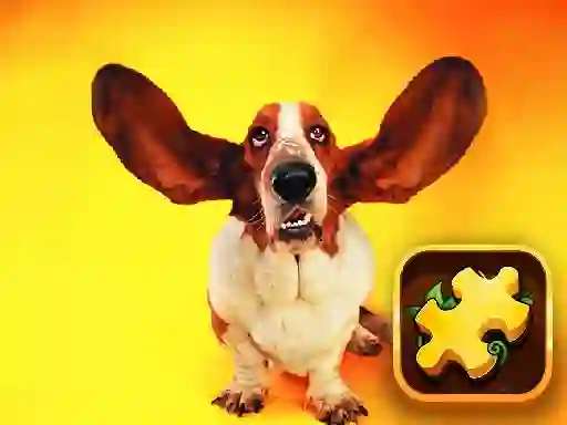 Lojë Funny Dogs Puzzle në internet