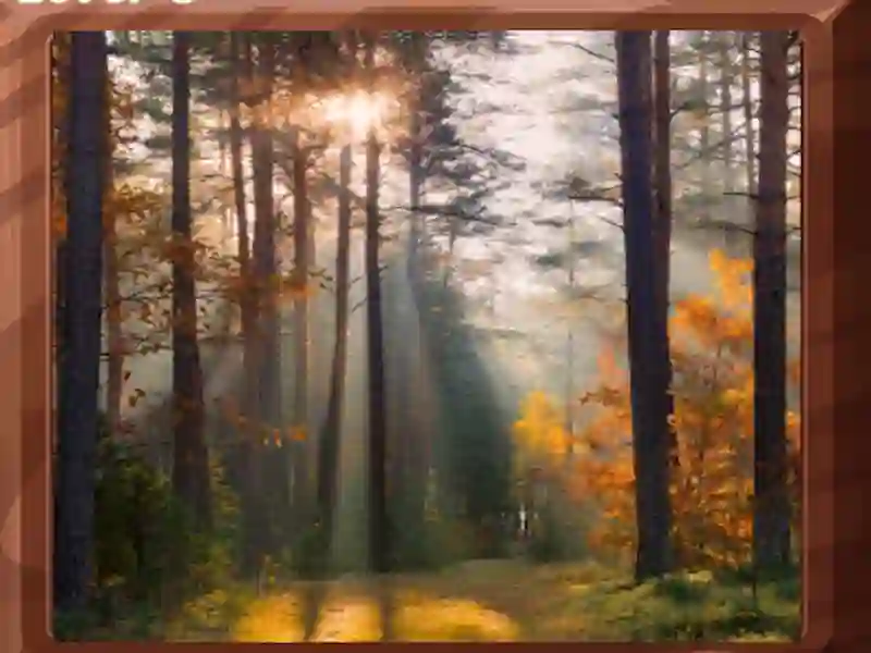 Lojë Image Block Puzzle në internet