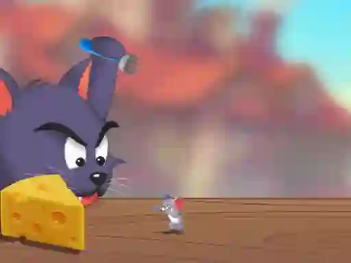 Lojë Cat And Mouse në internet