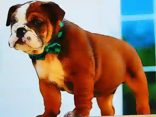 Lojë Bulldog Puppy Puzzle në internet