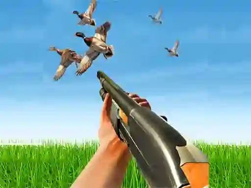 Lojë Bird Hunting në internet