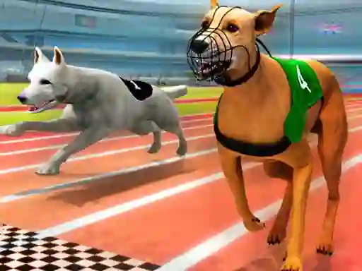Lojë Dogs 3D Races në internet
