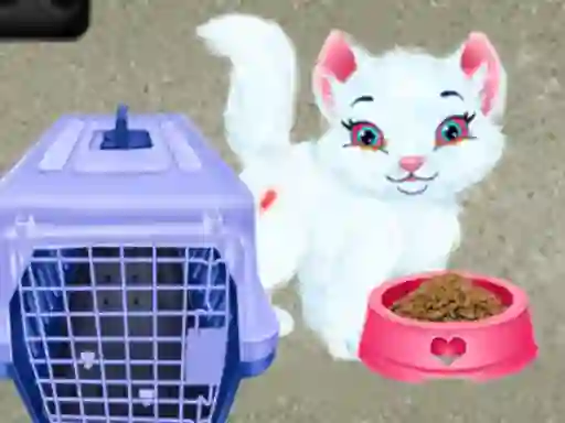 Lojë Baby Taylor Pet Care në internet