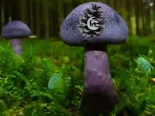 Lojë Mushroom Forest Adventure në internet