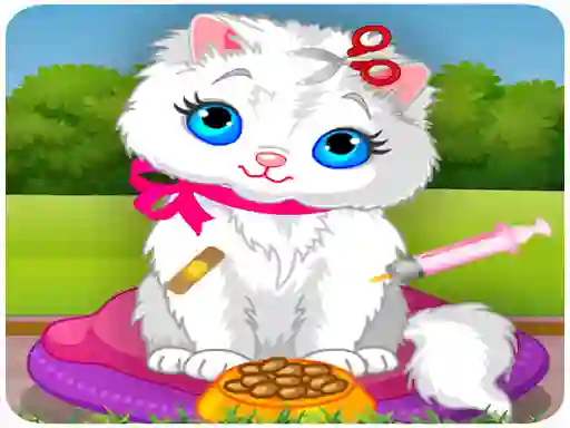 Lojë Vet Cat Clinic në internet
