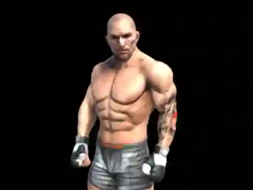Lojë Fight Arena Online në internet