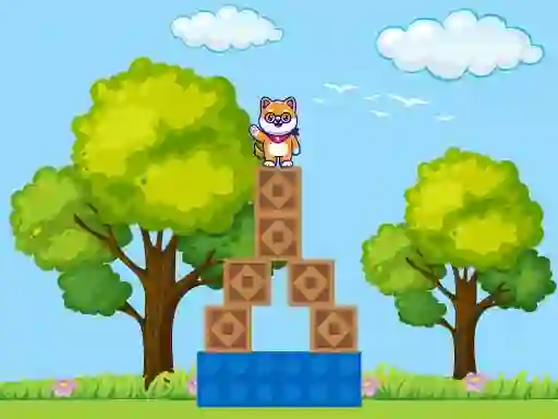 Lojë Box Challenge në internet
