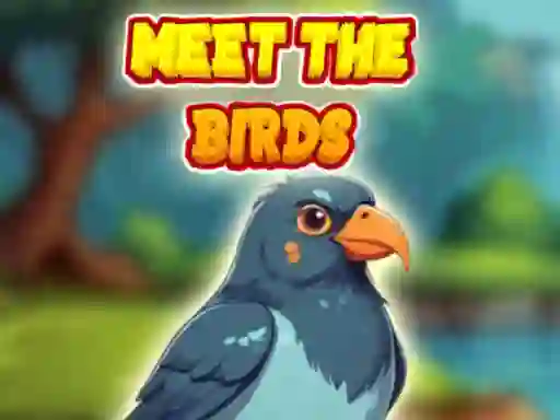 Lojë Meet The Birds në internet