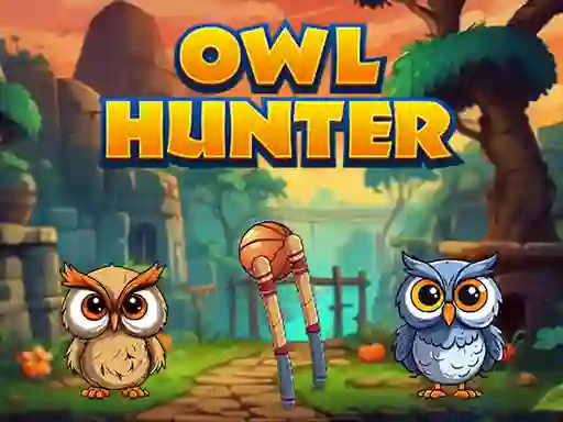 Lojë Owl Hunter në internet
