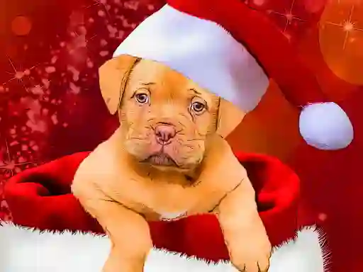 Lojë Christmas Dogs Styles në internet