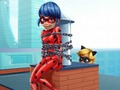 Lojë Cat Rescue Noir Ladybug  në internet
