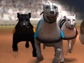 Lojë Greyhound Gara në internet