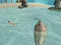Lojë Simulator Shark Killer Beach Beach në internet