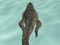 Lojë Gjuetia Beach Simulator krokodili  në internet