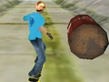 Lojë Skater i mahnitshëm 3D në internet