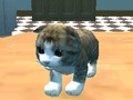 Lojë Cat Simulator: Kitty Artizanatit!  në internet