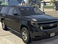 Lojë Dallimet Chevrolet Suburban  në internet