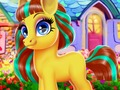 Lojë Pony i lumtur  në internet