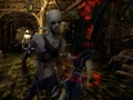 Lojë Zombies vs Berserk 2 në internet