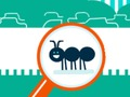 Lojë Bug Squashy  në internet